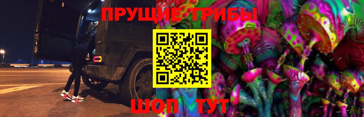 Псилоцибиновые грибы мицелий Старая Русса